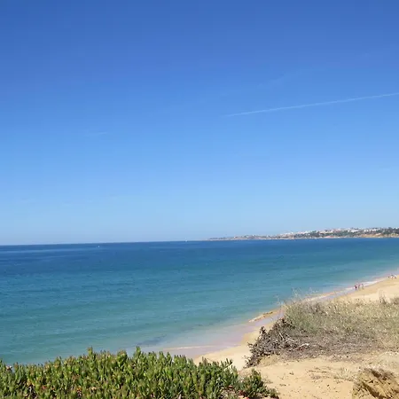 Algarve Gardens אלבופיירה